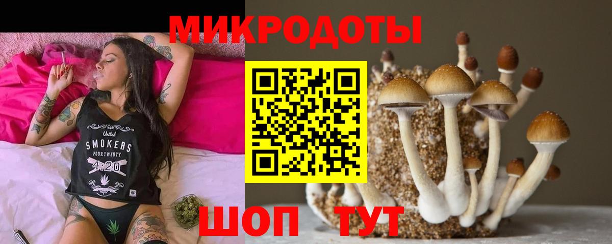 Галлюциногенные грибы MAGIC MUSHROOMS Химки